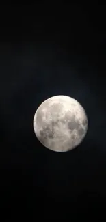 Full moon against a black night sky wallpaper.