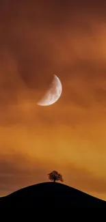 Crescent moon over a lone tree on a hill with an orange twilight sky.