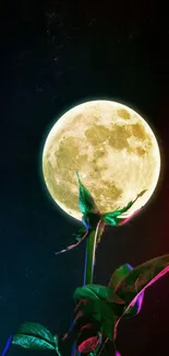 Glowing moon above green leaves in dark night sky.