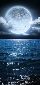 Moonlit ocean with night sky, reflecting a serene and tranquil atmosphere.