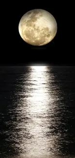 Full moon reflecting on calm ocean at night.