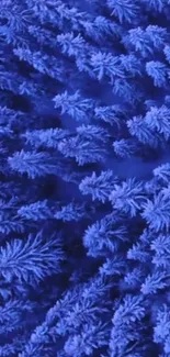 Lush blue frost patterns creating a vibrant phone wallpaper.