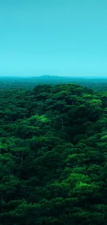 Lush green forest mobile wallpaper with serene view.