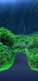 A serene forest path surrounded by lush greenery.