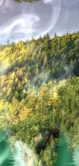 Vibrant green forest with sunlight streaming through the trees, creating a serene view.