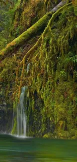 Mobile wallpaper of a lush forest waterfall with vibrant green moss.