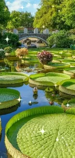 Lush garden with large lily pads and a stone bridge.