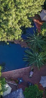 Aerial view of lush green landscape with trees and a serene environment.