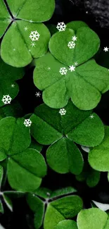 Green clover leaves with white snowflakes wallpaper.