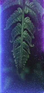 Close-up of a lush green fern against a dark background, perfect for nature-themed wallpaper.