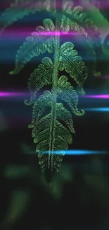 Close-up of a lush green fern leaf on a dark background.