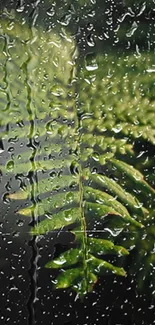 Close-up of a dark green fern leaf with natural textures.