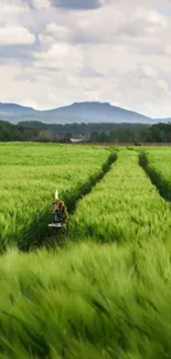 Lush green field against distant hills and cloudy sky.