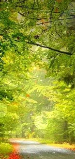 Lush green forest path wallpaper with serene ambiance.