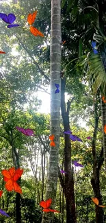 Vibrant green forest pathway with tall palm trees and sunlight filtering through leaves.