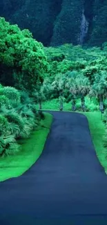 Lush green forest pathway with greenery.