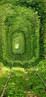 Lush green tunnel of trees with railway tracks.