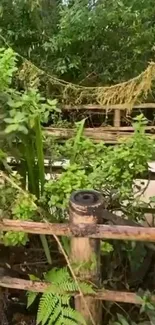 Lush green jungle pathway with vibrant foliage and a rustic fence.