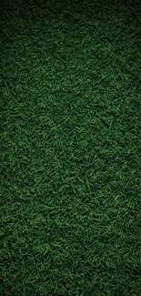 High-resolution lush green grass texture wallpaper for mobile devices.