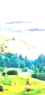 Rolling green hills under a bright blue sky.