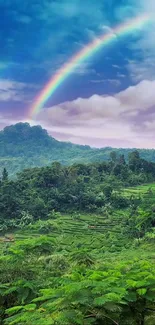 Rainbow arcs over lush green forest scene.