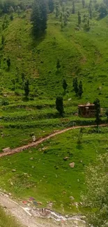 Mobile wallpaper of a green hillside with a rustic cabin.