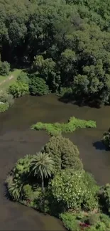 Aerial view of lush greenery surrounding a tranquil waterway.