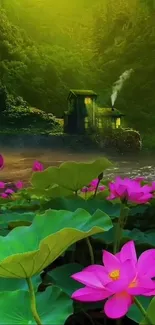 Green foliage and pink lotus with a smoky house wallpaper.