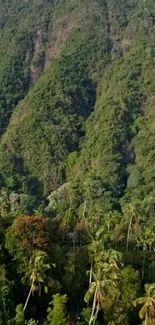 Lush green forest and mountains scenery wallpaper.