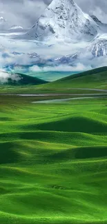 Green hills with snowy mountain in background wallpaper.