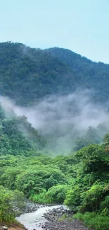 Lush green mountain with mist covered peaks and vibrant forest canopy.