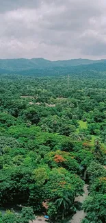 Lush green mountains and forest view from above.