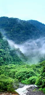 Mobile wallpaper of a lush green mountain landscape with mist and trees.