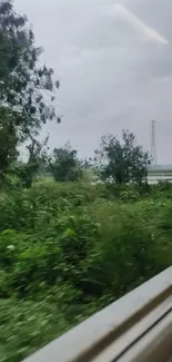 Lush green landscape with power lines seen through a window.