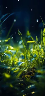 Lush green plants illuminated by glowing lights in a serene nature scene.