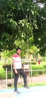 Person standing in a lush green park surrounded by trees.