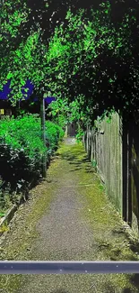 Green pathway wallpaper with lush foliage.