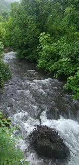 A river flowing through dense green forest, lush and vibrant.