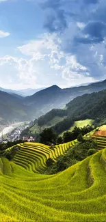 Lush green terraced fields under a dynamic blue sky.