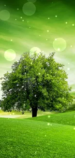 Mobile wallpaper with a lone tree on a green field and glowing background.