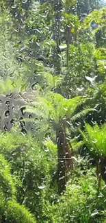 Lush green tropical forest with vibrant fern foliage.