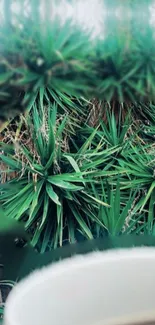 Tropical green leaves mobile wallpaper with a soft background.