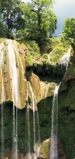 Lush green landscape featuring a waterfall.