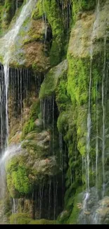 Lush green waterfall with flowing water.