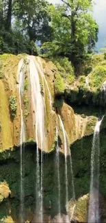 Lush green waterfall amidst a verdant forest landscape.