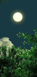 Wallpaper of a full moon over lush green forest foliage at night.