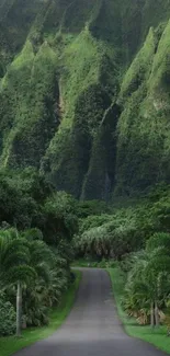 A serene green mountain path with lush foliage ideal for wallpaper.