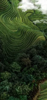 Lush green terraced fields with clouds.