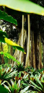 Vibrant tropical forest with lush green plants.