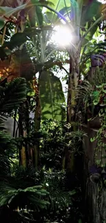 Lush jungle scene with sunlit green foliage and tropical plants.